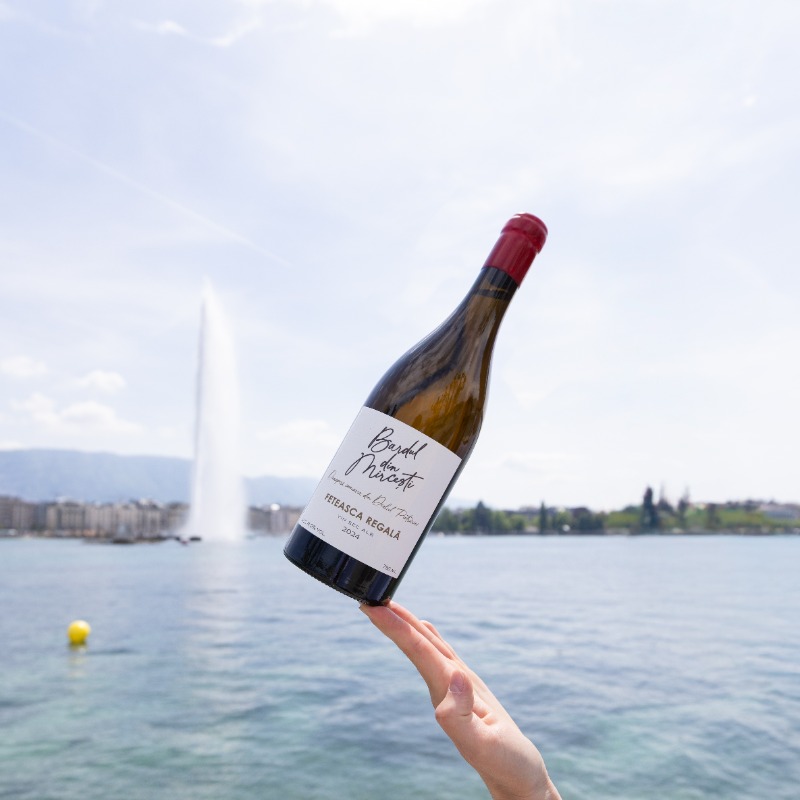 Events - Winetreasures.ch